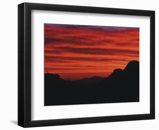 Sonora Desert, Saguaro National Park, Arizona, USA-Dee Ann Pederson-Framed Photographic Print