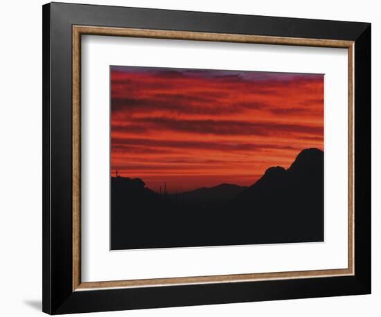 Sonora Desert, Saguaro National Park, Arizona, USA-Dee Ann Pederson-Framed Photographic Print