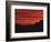 Sonora Desert, Saguaro National Park, Arizona, USA-Dee Ann Pederson-Framed Photographic Print