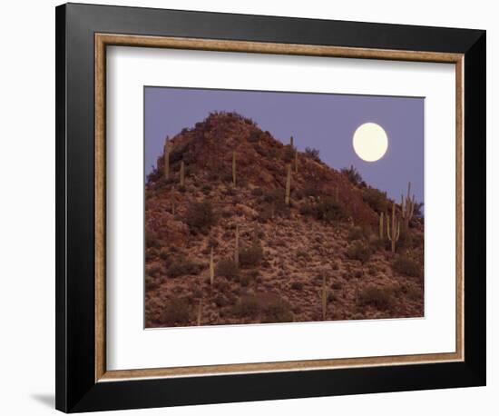 Sonora Desert, Saguaro National Park, Arizona, USA-Gavriel Jecan-Framed Photographic Print