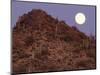 Sonora Desert, Saguaro National Park, Arizona, USA-Gavriel Jecan-Mounted Photographic Print