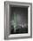 Sonora-Moises Levy-Framed Photographic Print