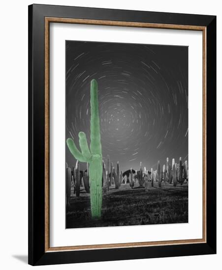 Sonora-Moises Levy-Framed Photographic Print