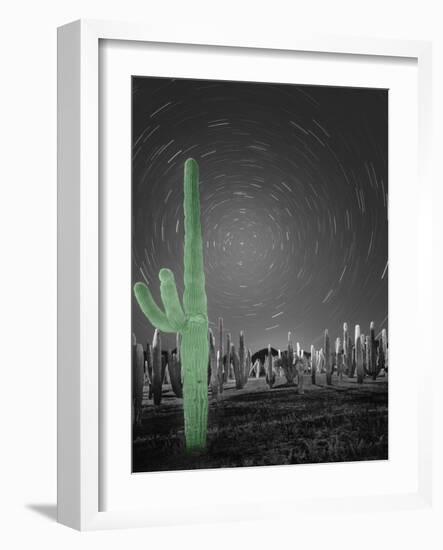 Sonora-Moises Levy-Framed Photographic Print