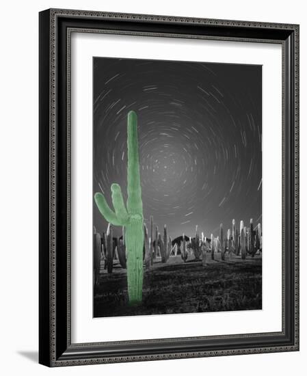 Sonora-Moises Levy-Framed Photographic Print