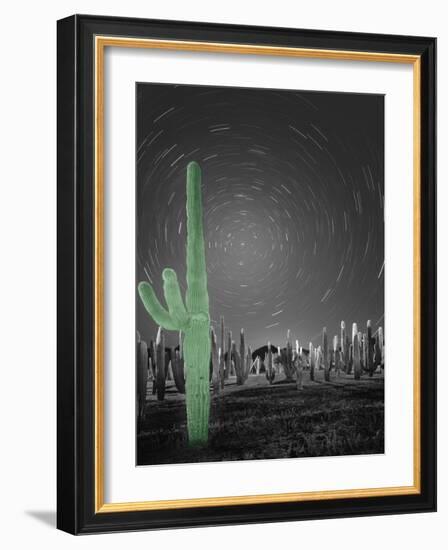 Sonora-Moises Levy-Framed Photographic Print