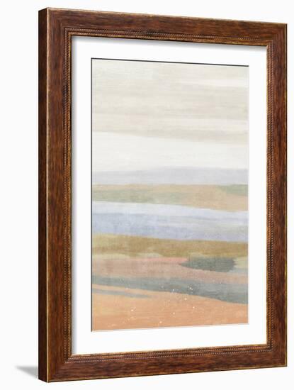 Sonoran 1-Suzanne Nicoll-Framed Art Print