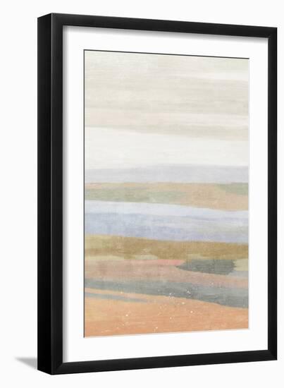 Sonoran 1-Suzanne Nicoll-Framed Art Print