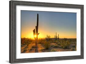 Sonoran Desert Catching Day's Last Rays.-Anton Foltin-Framed Photographic Print