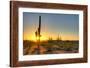Sonoran Desert Catching Day's Last Rays.-Anton Foltin-Framed Photographic Print