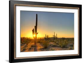 Sonoran Desert Catching Day's Last Rays.-Anton Foltin-Framed Photographic Print