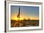 Sonoran Desert Catching Day's Last Rays.-Anton Foltin-Framed Photographic Print
