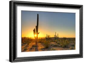 Sonoran Desert Catching Day's Last Rays.-Anton Foltin-Framed Photographic Print