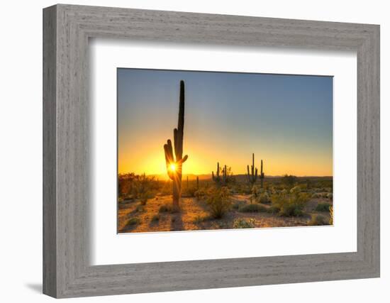 Sonoran Desert Catching Day's Last Rays.-Anton Foltin-Framed Photographic Print