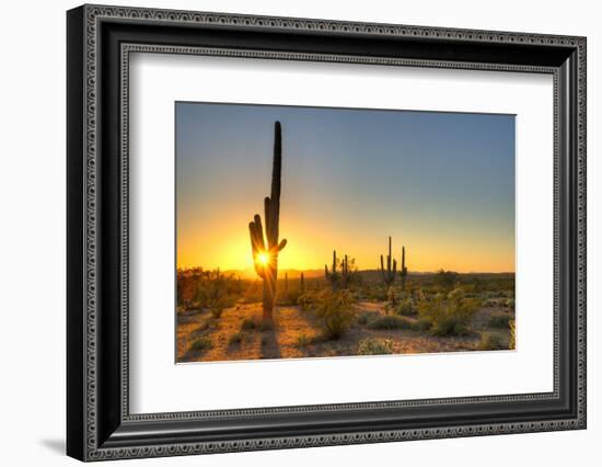 Sonoran Desert Catching Day's Last Rays.-Anton Foltin-Framed Photographic Print