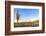 Sonoran Desert Catching Days Last Rays.-Anton Foltin-Framed Photographic Print