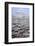 Sonoran Desert in Winter-James Randklev-Framed Photographic Print