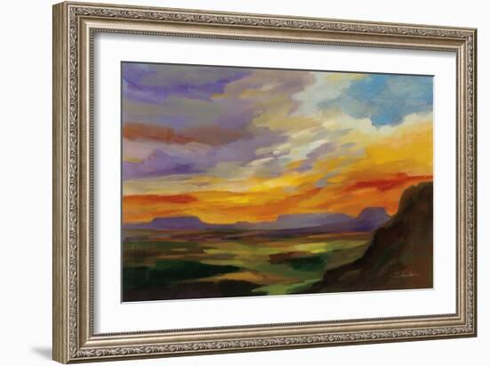 Sonoran Desert Sunset-Silvia Vassileva-Framed Art Print