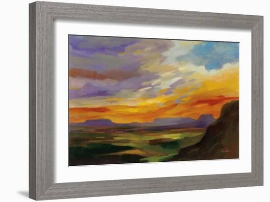 Sonoran Desert Sunset-Silvia Vassileva-Framed Art Print