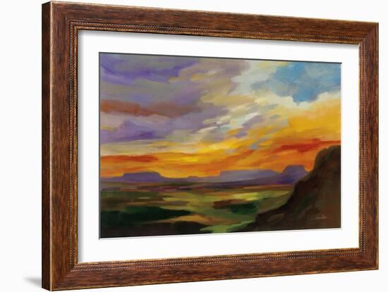 Sonoran Desert Sunset-Silvia Vassileva-Framed Art Print