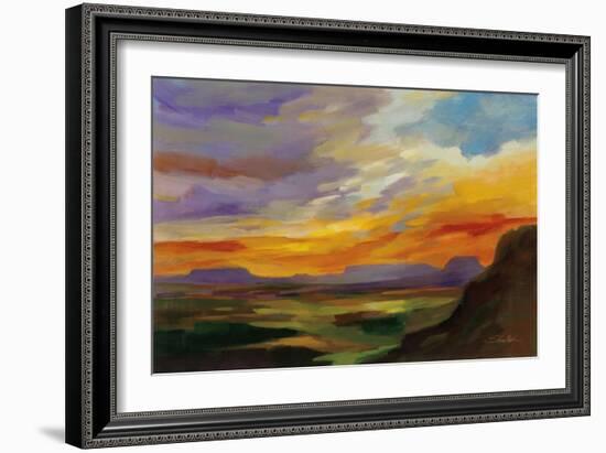 Sonoran Desert Sunset-Silvia Vassileva-Framed Art Print
