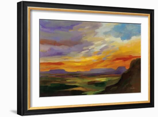 Sonoran Desert Sunset-Silvia Vassileva-Framed Art Print
