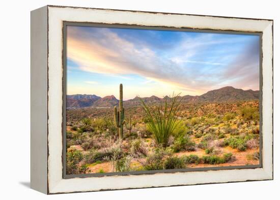 Sonoran Desert-Anton Foltin-Framed Premier Image Canvas