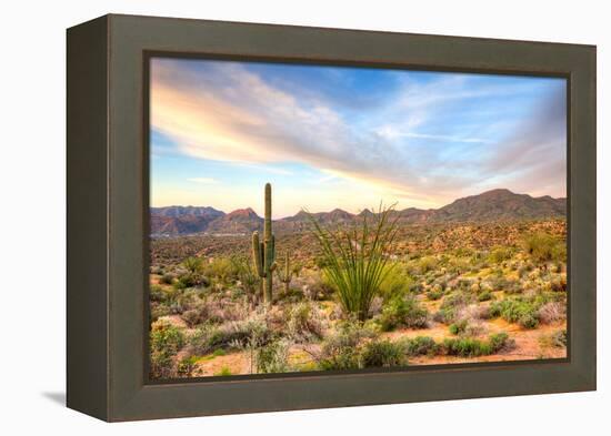 Sonoran Desert-Anton Foltin-Framed Premier Image Canvas