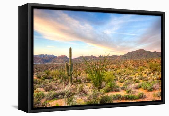 Sonoran Desert-Anton Foltin-Framed Premier Image Canvas