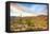 Sonoran Desert-Anton Foltin-Framed Premier Image Canvas