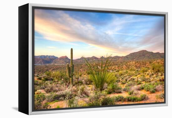 Sonoran Desert-Anton Foltin-Framed Premier Image Canvas