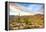 Sonoran Desert-Anton Foltin-Framed Premier Image Canvas