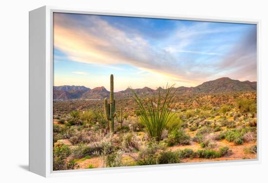 Sonoran Desert-Anton Foltin-Framed Premier Image Canvas