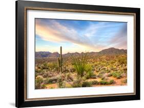 Sonoran Desert-Anton Foltin-Framed Photographic Print