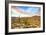 Sonoran Desert-Anton Foltin-Framed Photographic Print