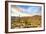 Sonoran Desert-Anton Foltin-Framed Photographic Print