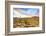 Sonoran Desert-Anton Foltin-Framed Photographic Print