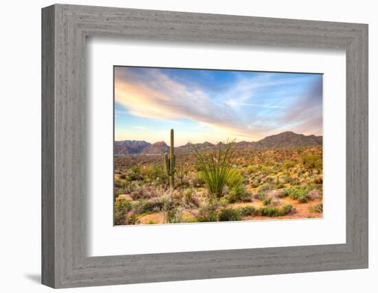 Sonoran Desert-Anton Foltin-Framed Photographic Print