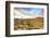 Sonoran Desert-Anton Foltin-Framed Photographic Print