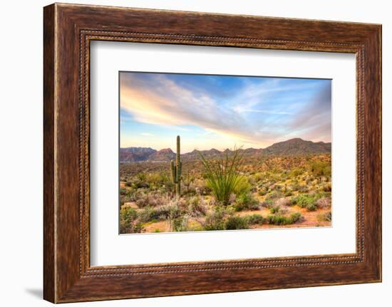 Sonoran Desert-Anton Foltin-Framed Photographic Print