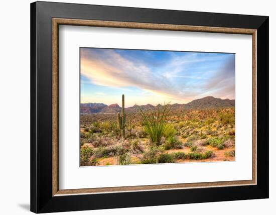 Sonoran Desert-Anton Foltin-Framed Photographic Print