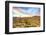 Sonoran Desert-Anton Foltin-Framed Photographic Print