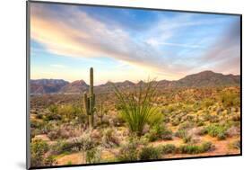Sonoran Desert-Anton Foltin-Mounted Photographic Print