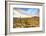 Sonoran Desert-Anton Foltin-Framed Photographic Print