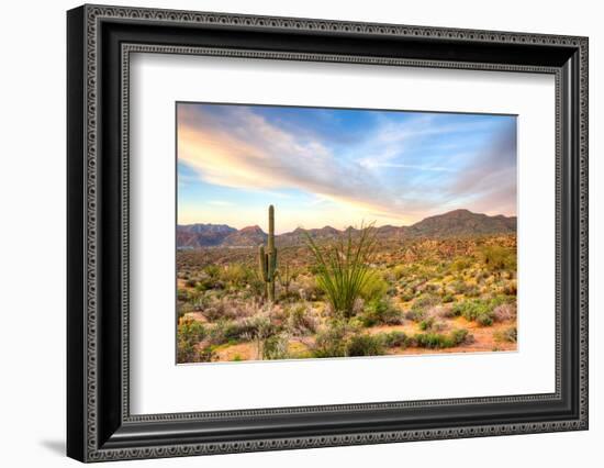 Sonoran Desert-Anton Foltin-Framed Photographic Print