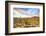 Sonoran Desert-Anton Foltin-Framed Photographic Print