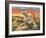 Sonoran King-Trevor V. Swanson-Framed Giclee Print