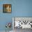 Sonoran Shadows IV-Lanie Loreth-Framed Stretched Canvas displayed on a wall