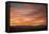 Sonoran Sunset-Aaron Matheson-Framed Premier Image Canvas