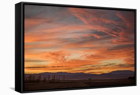 Sonoran Sunset-Aaron Matheson-Framed Stretched Canvas